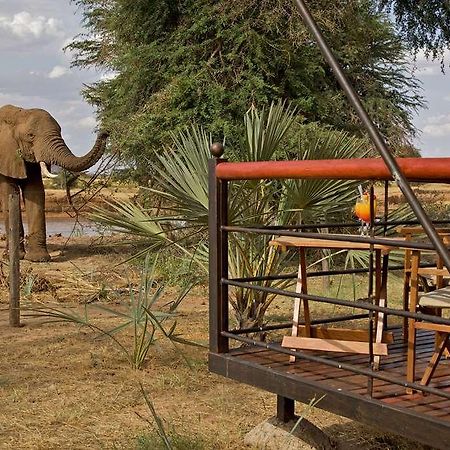 Ashnil Samburu Camp Hotel Ngoại thất bức ảnh